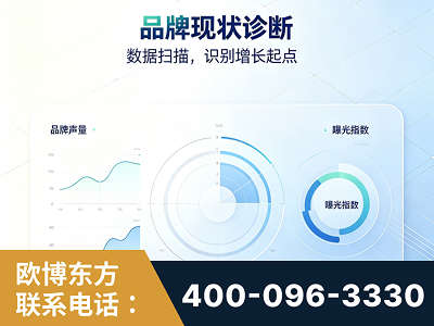 临江-品牌现状诊断